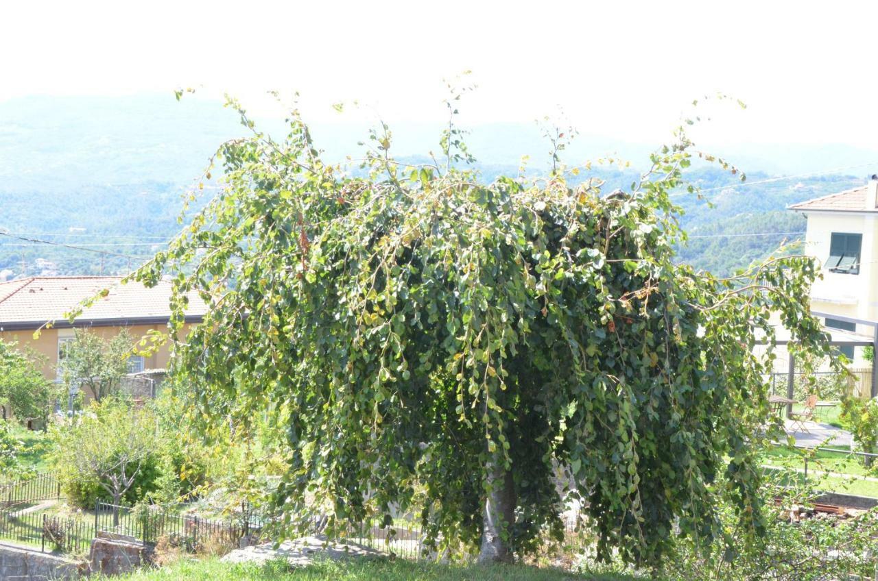 Ferienwohnung La Casa Con Vista Di Emma Vezzano Ligure Exterior foto
